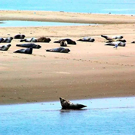 Miramar * Borkum
